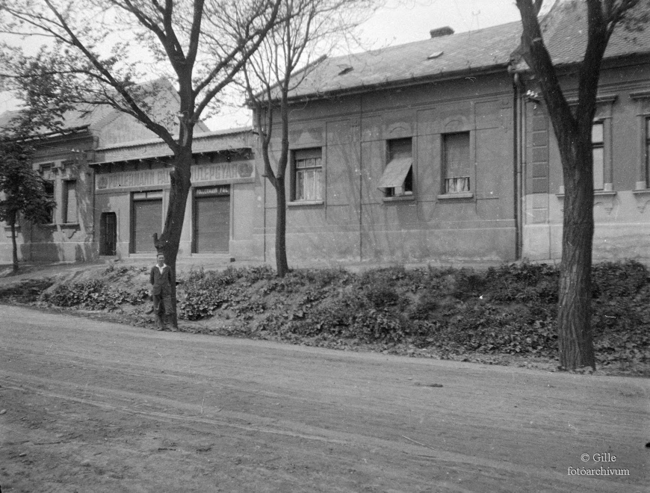 A műlépgyáros nyomában – Ki volt Pollermann Pál?